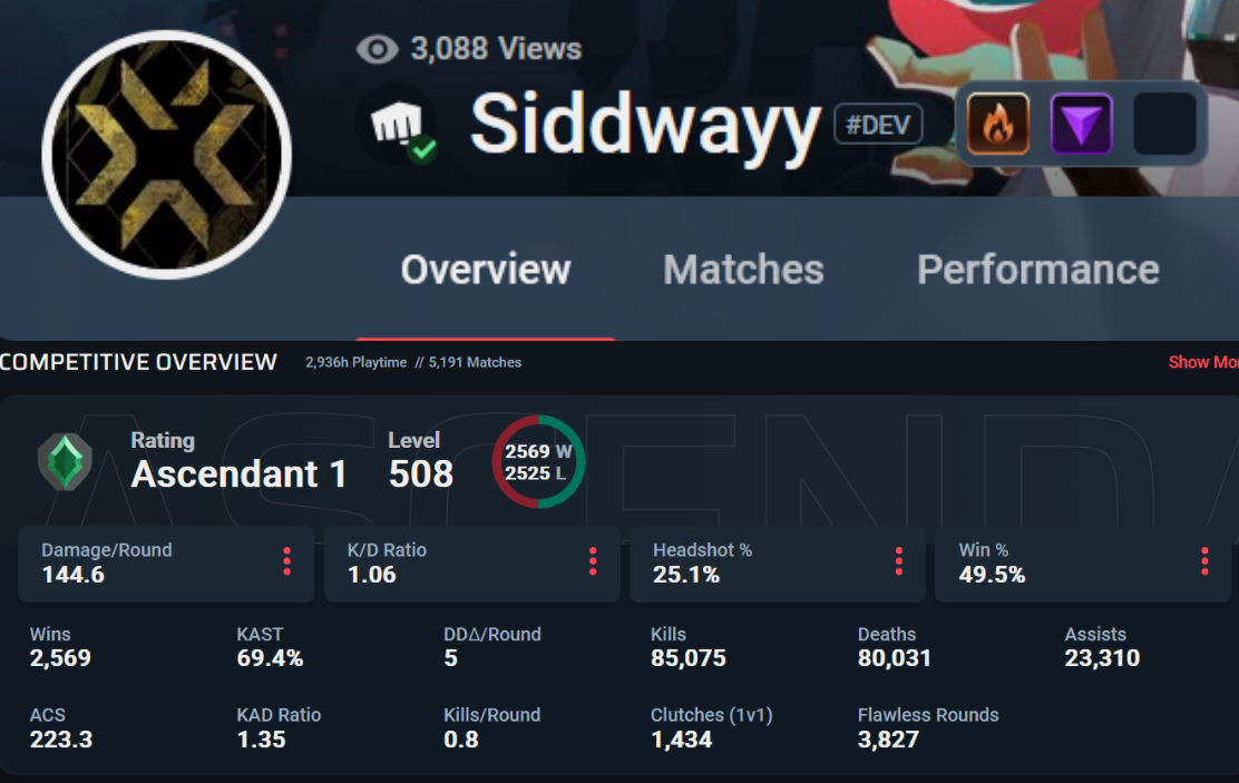 Valorant stats