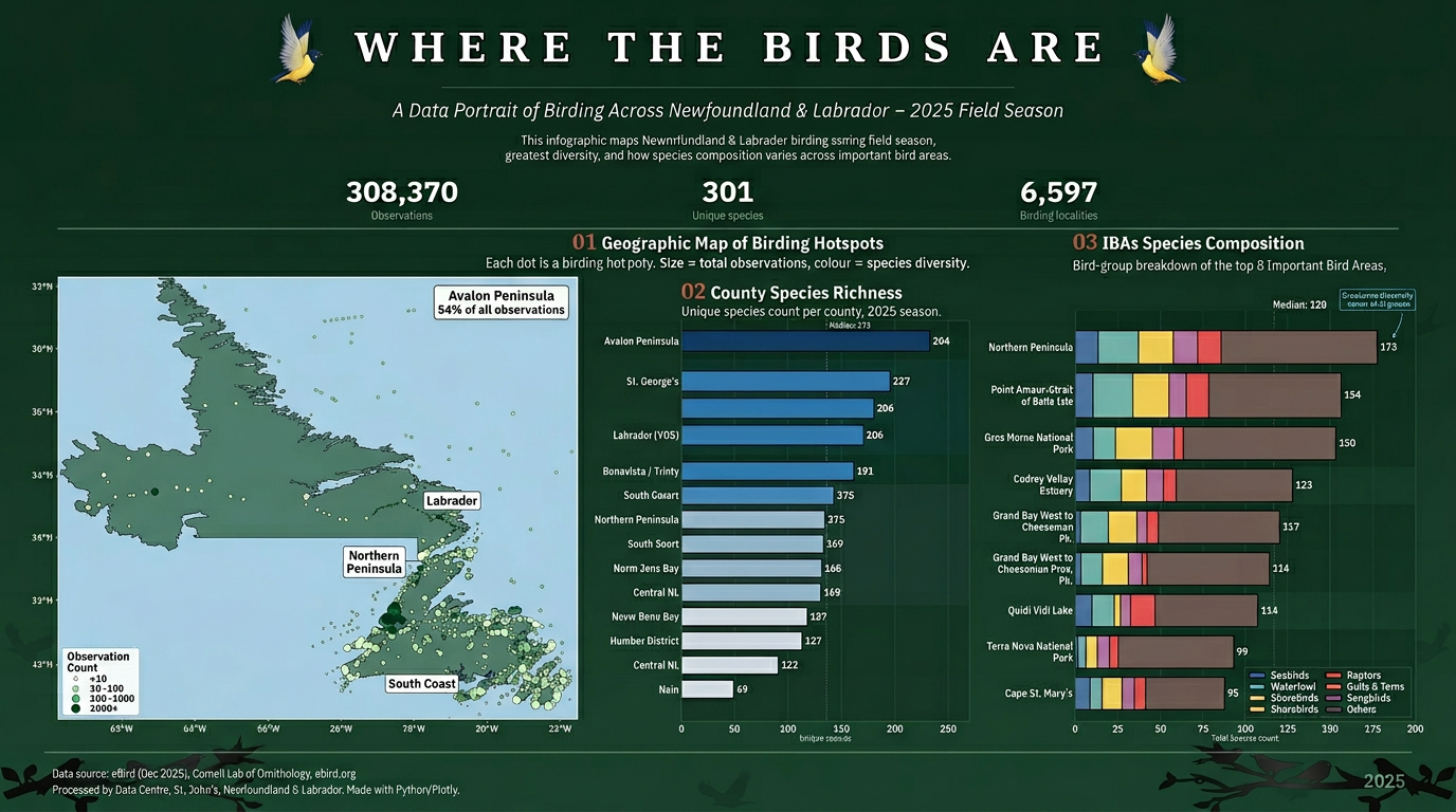 Where the Birds Are data visualization poster