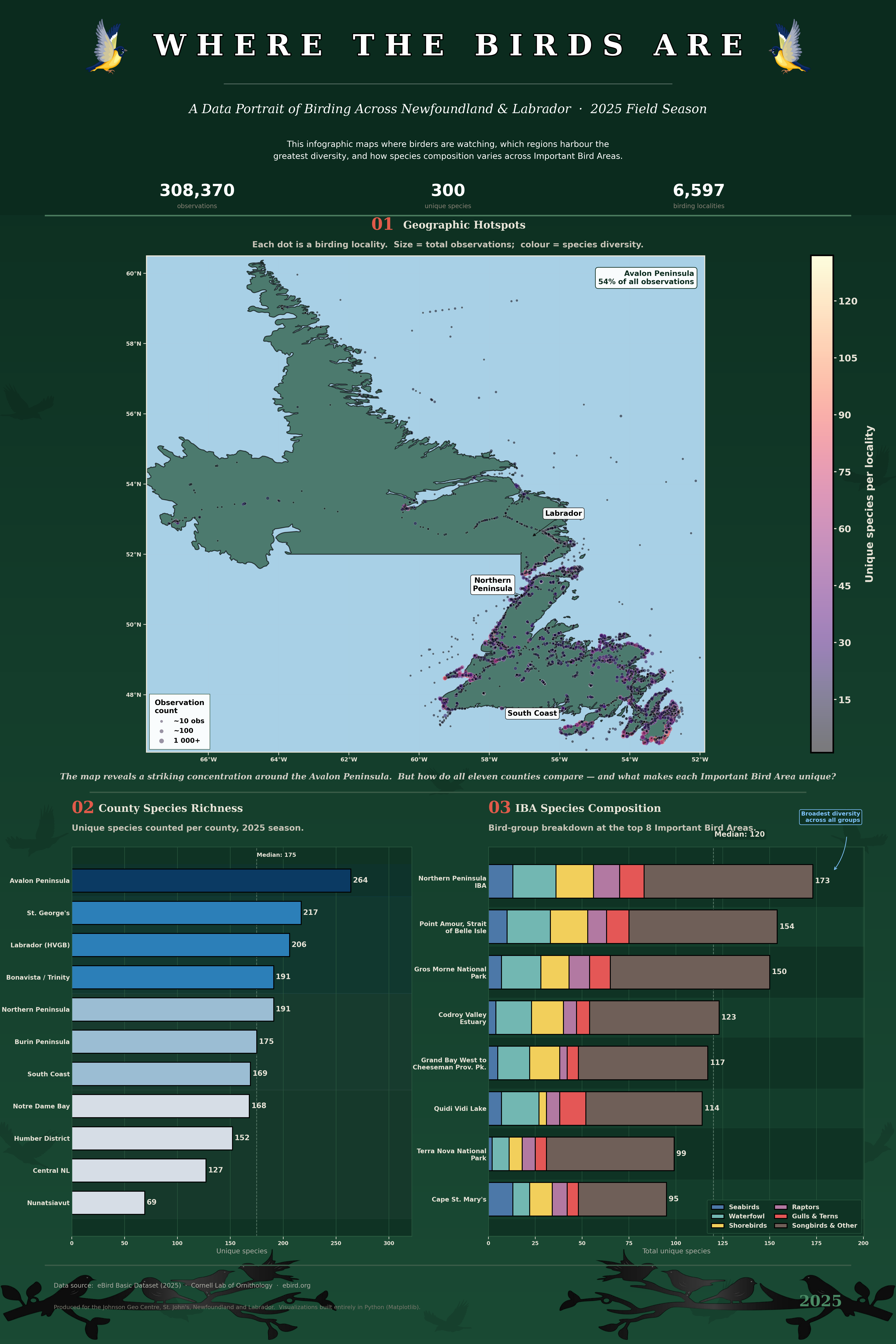 Where the Birds Are infographic poster
